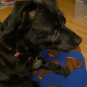 Meet your Posher, Laura